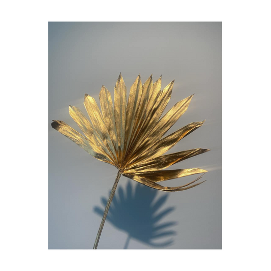 Feuille de palme Sun Gold